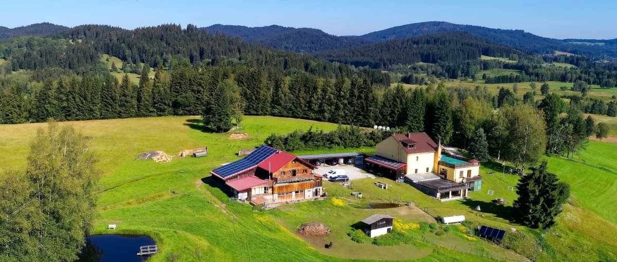 runenhof-bauernhof-pension-bayerischer-wald-dreilaendereck-alleinlage