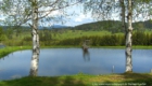 See am Runenhof im Bayersichen Wald