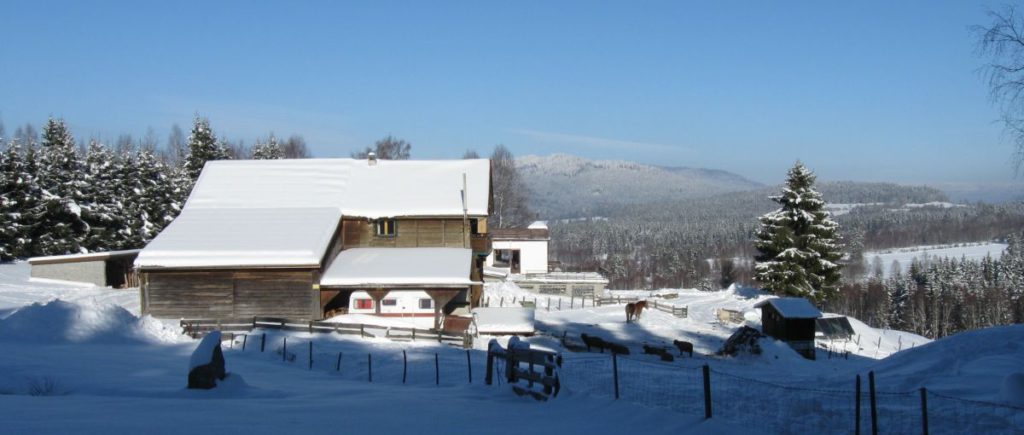 Winterurlaun am Runenhof mit Skifahren im Bayerischen Wald